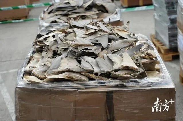 1684975558820621 Z6·尊龙凯时「中国区」官方网站